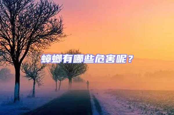 蟑螂有哪些危害呢？