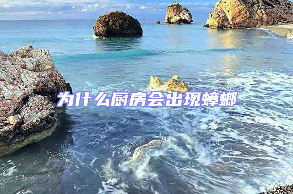 为什么厨房会出现蟑螂
