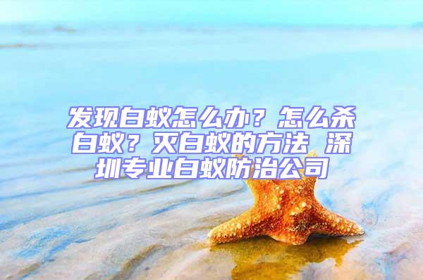 发现白蚁怎么办？怎么杀白蚁？灭白蚁的方法 深圳专业白蚁防治公司