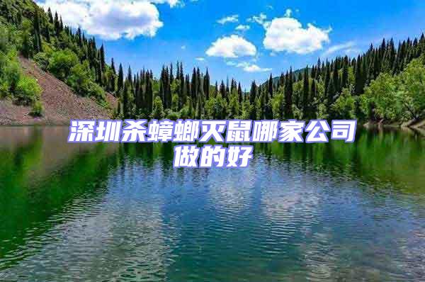 深圳杀蟑螂灭鼠哪家公司做的好