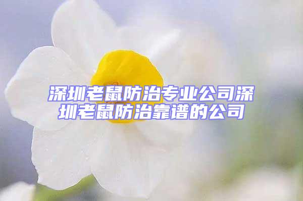 深圳老鼠防治专业公司深圳老鼠防治靠谱的公司