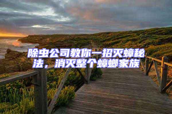 除虫公司教你一招灭蟑秘法，消灭整个蟑螂家族