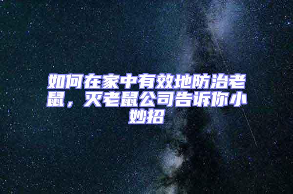 如何在家中有效地防治老鼠，灭老鼠公司告诉你小妙招