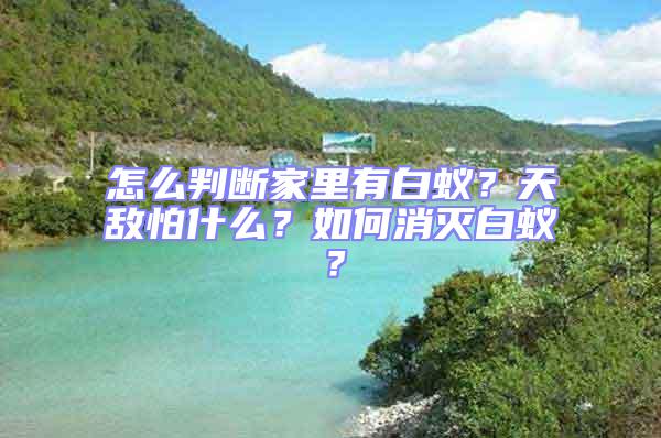 怎么判断家里有白蚁？天敌怕什么？如何消灭白蚁？