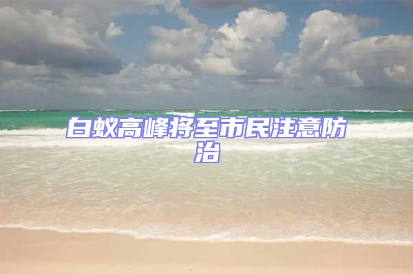 白蚁高峰将至市民注意防治