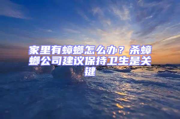 家里有蟑螂怎么办？杀蟑螂公司建议保持卫生是关键