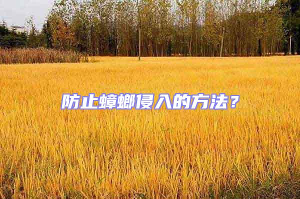 防止蟑螂侵入的方法？
