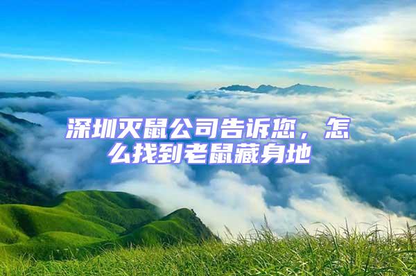 深圳灭鼠公司告诉您，怎么找到老鼠藏身地