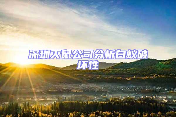 深圳灭鼠公司分析白蚁破坏性