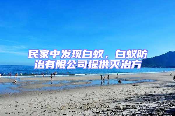 民家中发现白蚁，白蚁防治有限公司提供灭治方