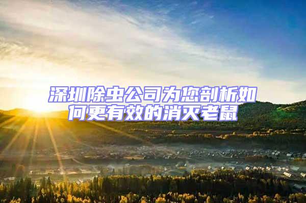 深圳除虫公司为您剖析如何更有效的消灭老鼠