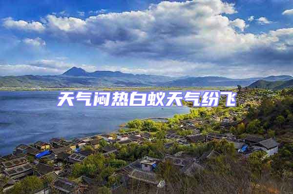 天气闷热白蚁天气纷飞