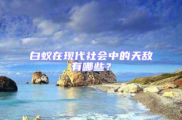 白蚁在现代社会中的天敌有哪些？