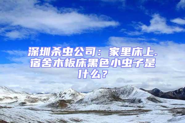 深圳杀虫公司：家里床上.宿舍木板床黑色小虫子是什么？