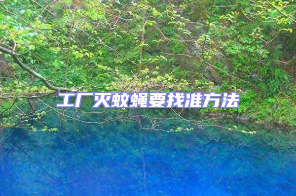 工厂灭蚊蝇要找准方法
