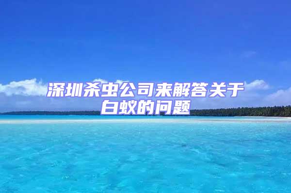 深圳杀虫公司来解答关于白蚁的问题