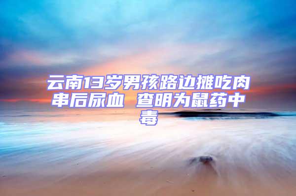 云南13岁男孩路边摊吃肉串后尿血 查明为鼠药中毒