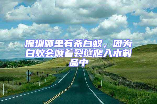 深圳哪里有杀白蚁，因为白蚁会顺着裂缝爬入木制品中