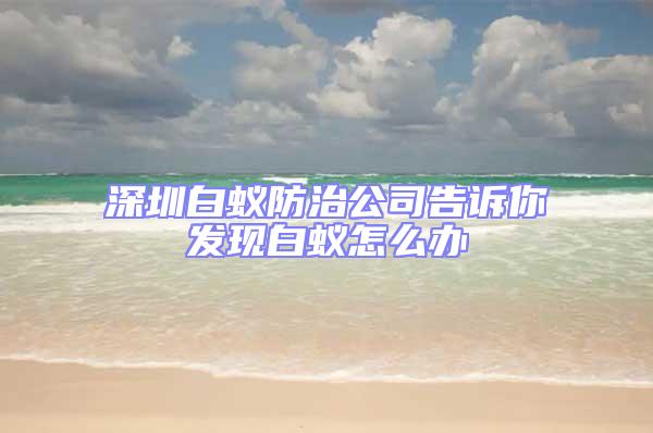 深圳白蚁防治公司告诉你发现白蚁怎么办