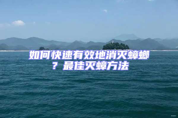 如何快速有效地消灭蟑螂？最佳灭蟑方法