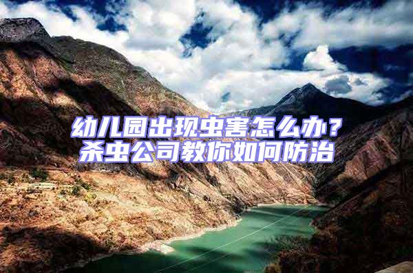 幼儿园出现虫害怎么办？杀虫公司教你如何防治