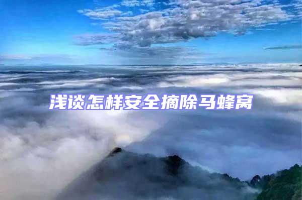 浅谈怎样安全摘除马蜂窝