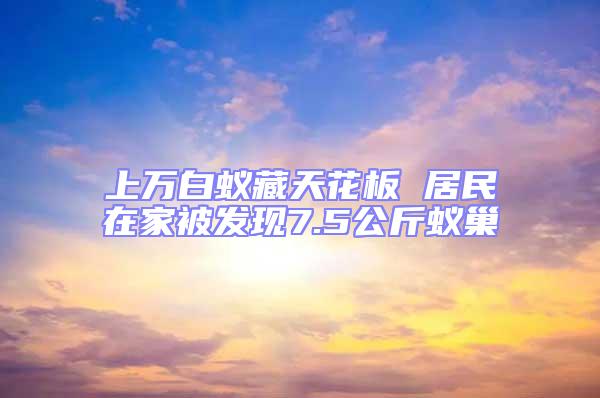 上万白蚁藏天花板 居民在家被发现7.5公斤蚁巢