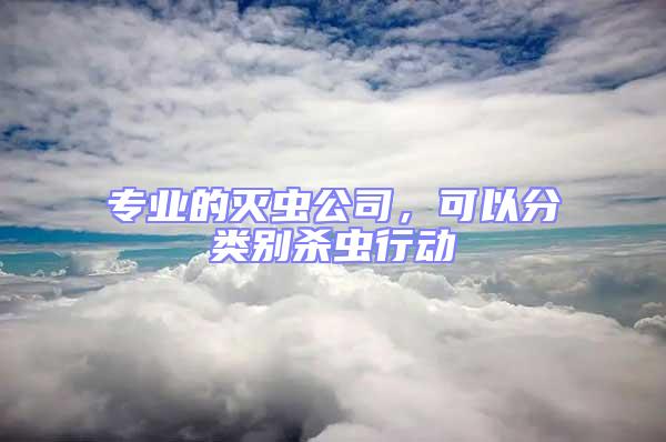 专业的灭虫公司，可以分类别杀虫行动