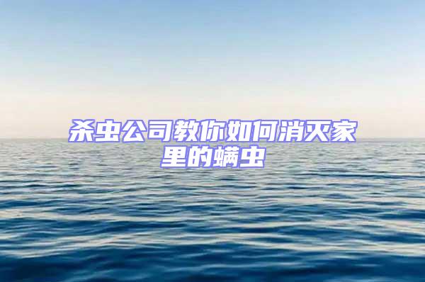 杀虫公司教你如何消灭家里的螨虫
