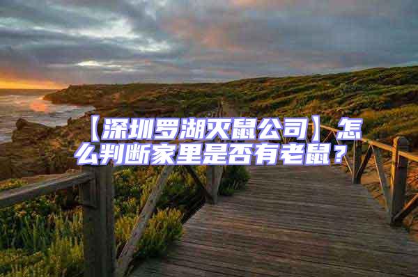 【深圳罗湖灭鼠公司】怎么判断家里是否有老鼠？