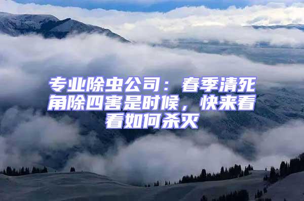 专业除虫公司：春季清死角除四害是时候，快来看看如何杀灭