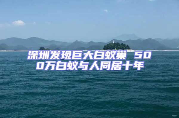 深圳发现巨大白蚁巢 500万白蚁与人同居十年