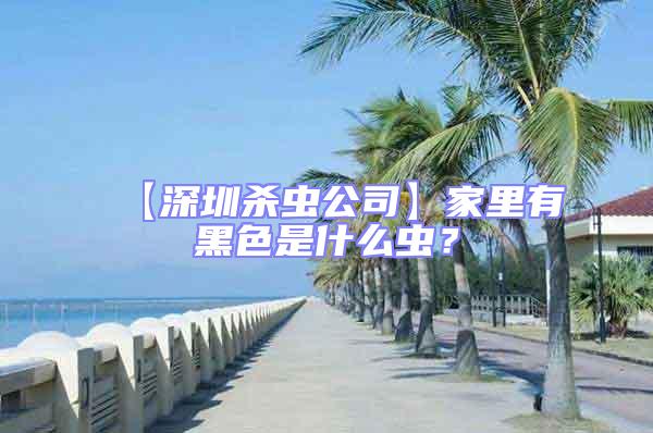 【深圳杀虫公司】家里有黑色是什么虫？