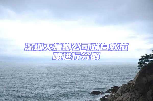 深圳灭蟑螂公司对白蚁范畴进行分解