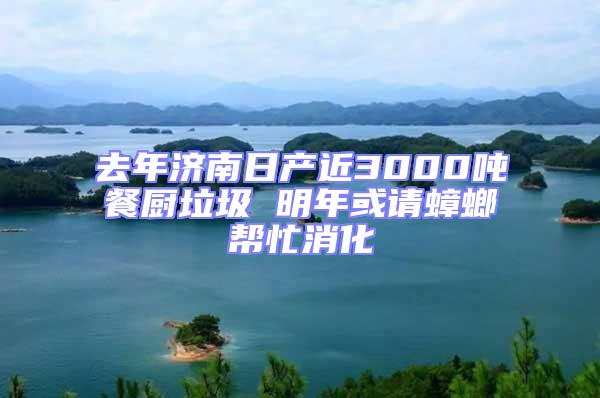 去年济南日产近3000吨餐厨垃圾 明年或请蟑螂帮忙消化