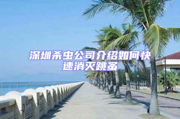 深圳杀虫公司介绍如何快速消灭跳蚤