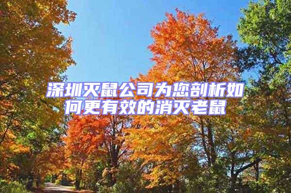 深圳灭鼠公司为您剖析如何更有效的消灭老鼠