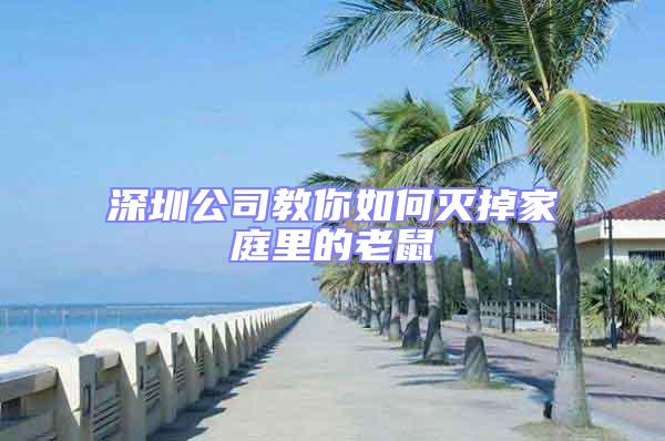 深圳公司教你如何灭掉家庭里的老鼠