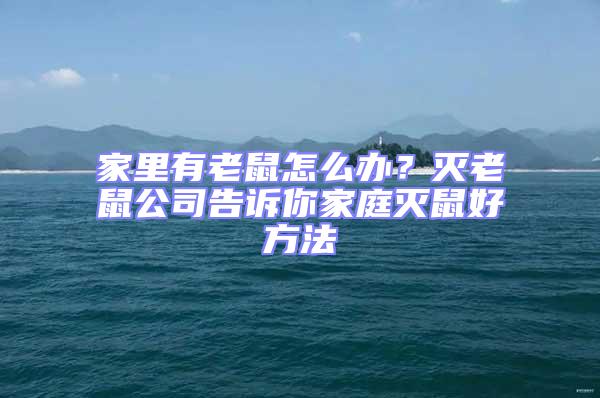 家里有老鼠怎么办？灭老鼠公司告诉你家庭灭鼠好方法