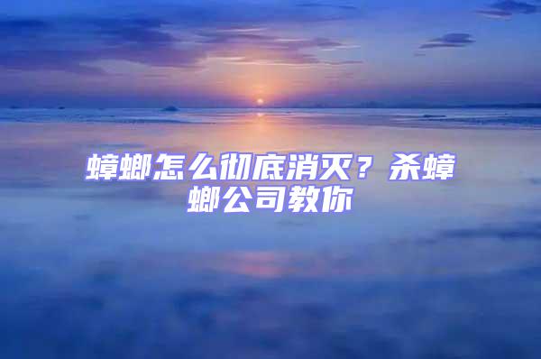 蟑螂怎么彻底消灭？杀蟑螂公司教你