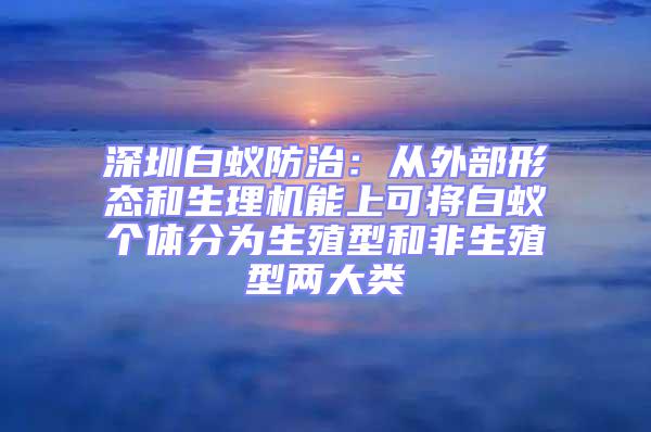 深圳白蚁防治：从外部形态和生理机能上可将白蚁个体分为生殖型和非生殖型两大类