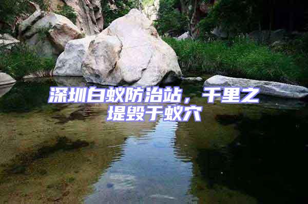 深圳白蚁防治站，千里之堤毁于蚁穴