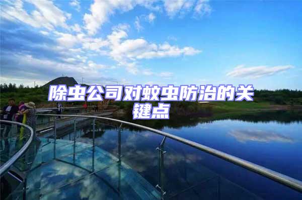 除虫公司对蚊虫防治的关键点