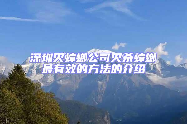 深圳灭蟑螂公司灭杀蟑螂最有效的方法的介绍