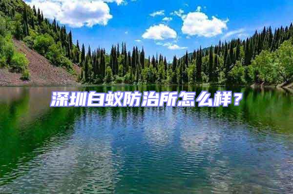 深圳白蚁防治所怎么样？