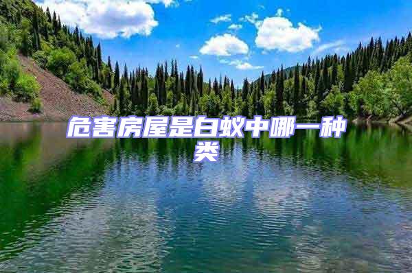 危害房屋是白蚁中哪一种类