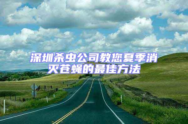 深圳杀虫公司教您夏季消灭苍蝇的最佳方法