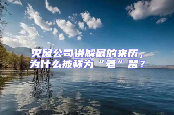 灭鼠公司讲解鼠的来历，为什么被称为“老”鼠？