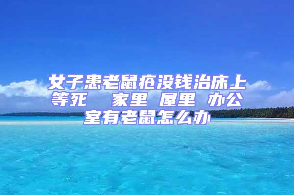 女子患老鼠疮没钱治床上等死  家里 屋里 办公室有老鼠怎么办