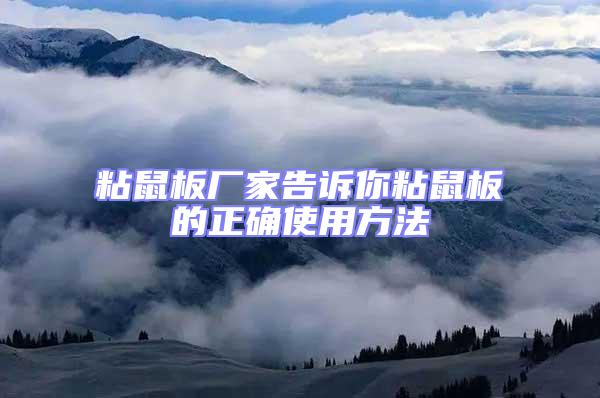 粘鼠板厂家告诉你粘鼠板的正确使用方法